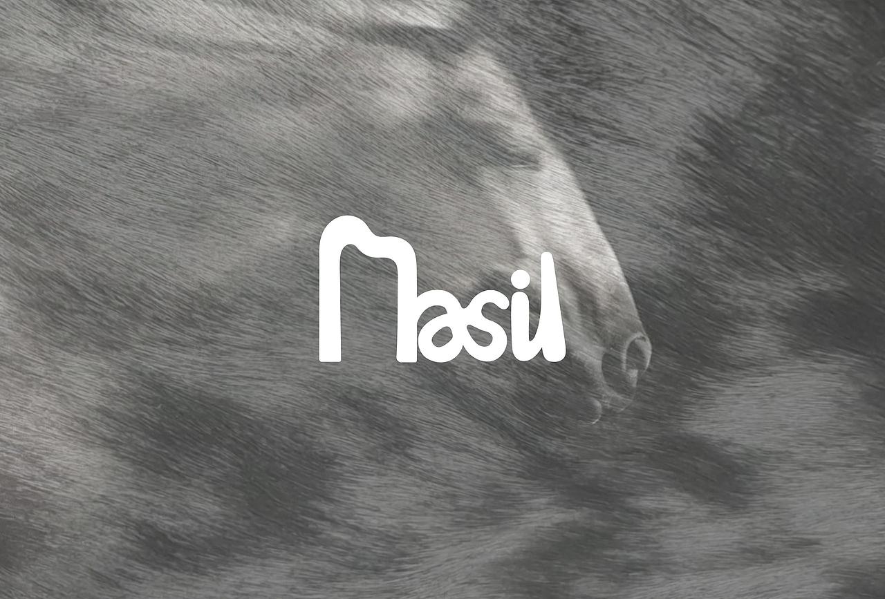 浴室里养了匹黑马|把草原的风梳进发丝