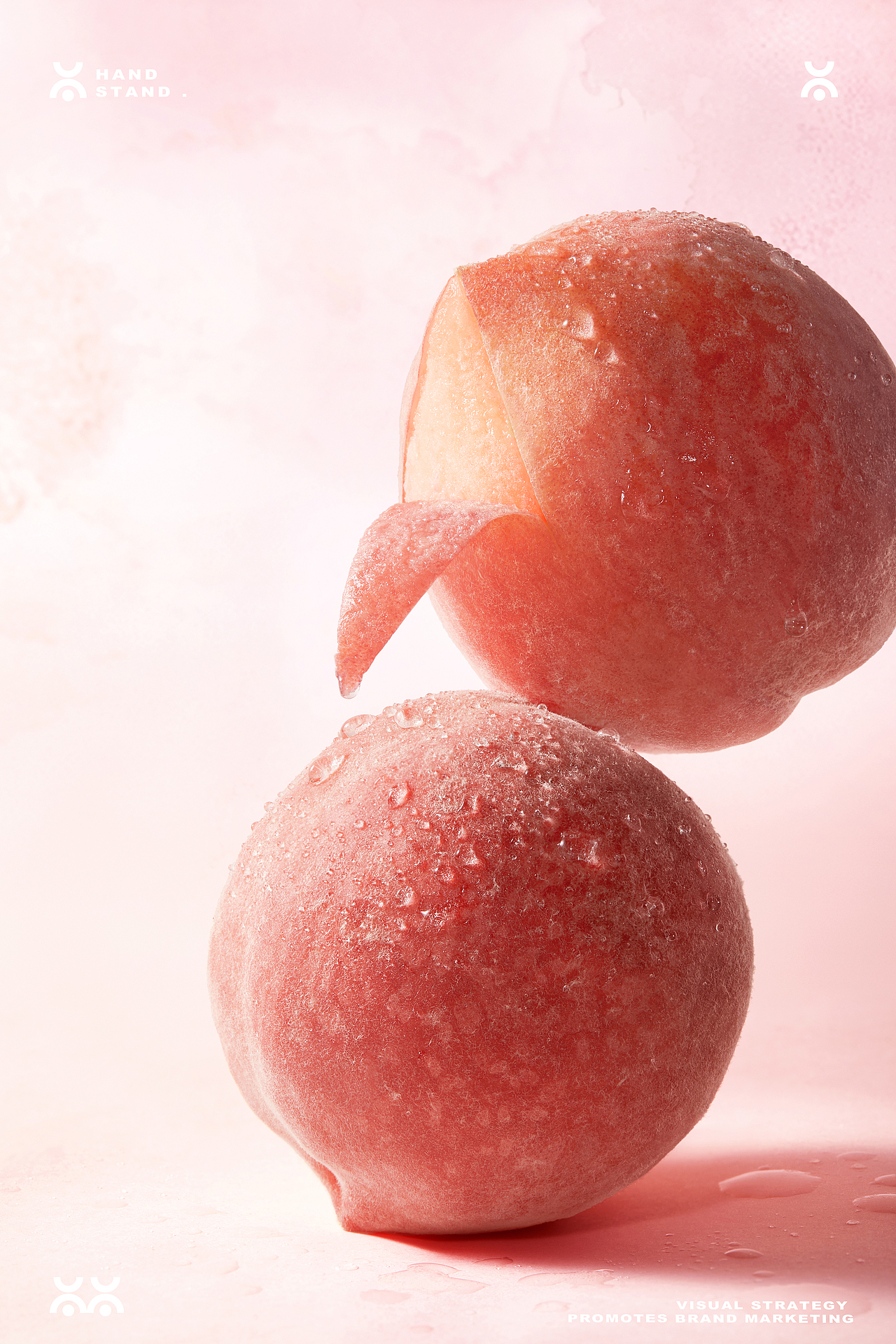 茶百道ChaPanda|桃香启境,漫游三重香韵