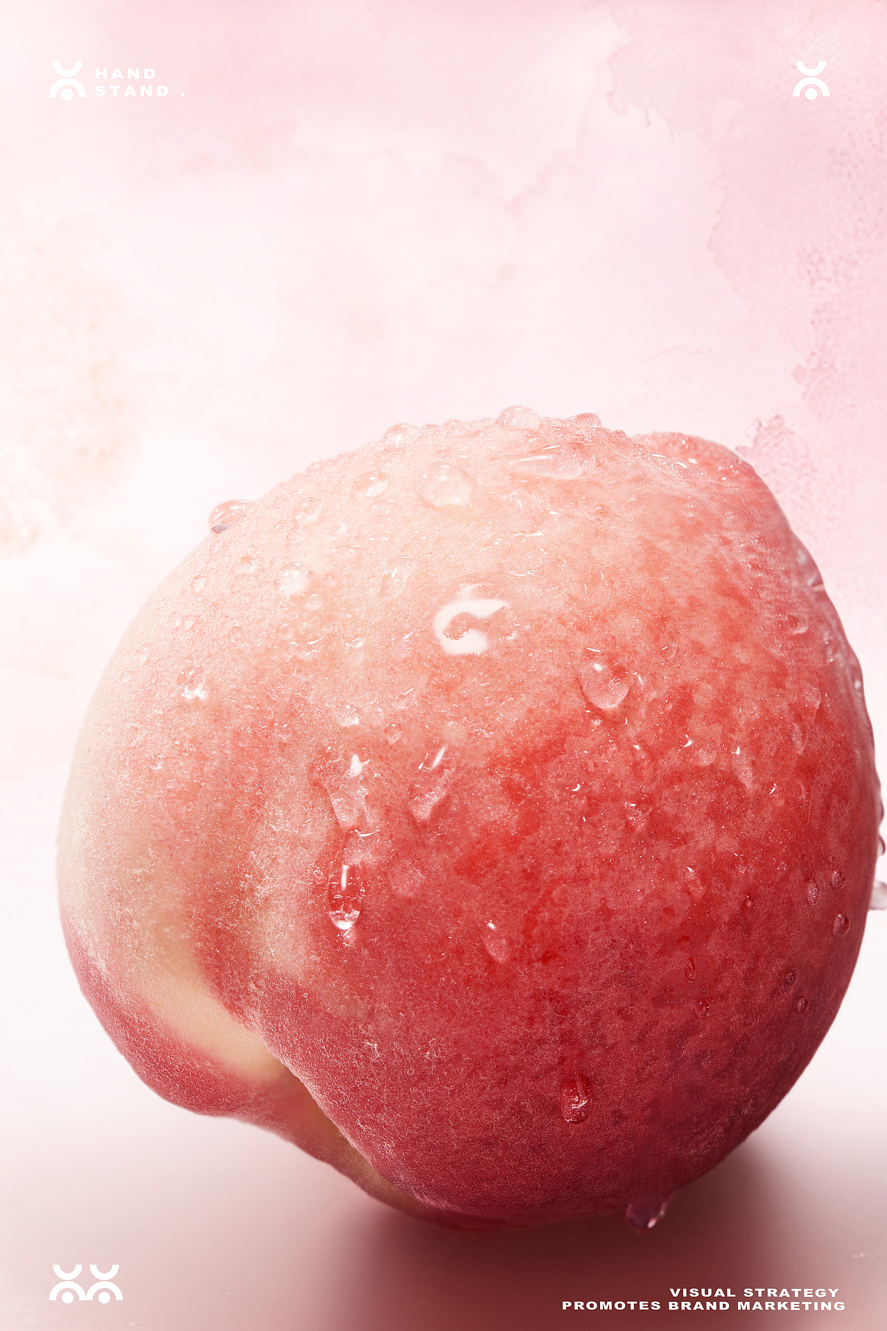 茶百道ChaPanda|桃香启境,漫游三重香韵