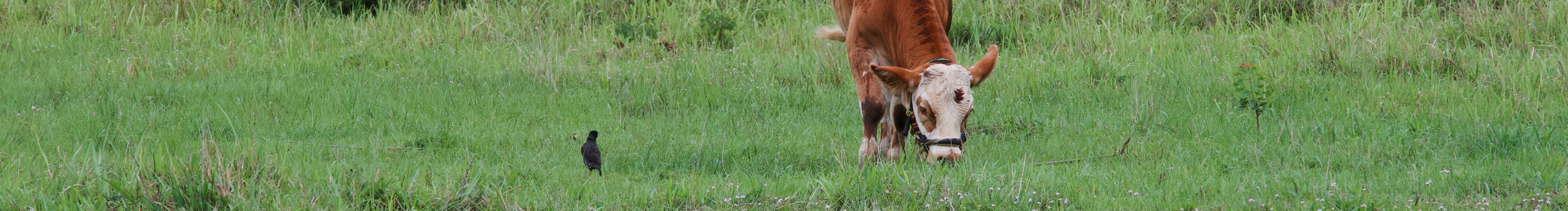 Onlybluegreen的个人主页（封面预览） - 主页封面设置 - 站酷设计师Onlybluegreen原创素材 - 站酷ZCOOL