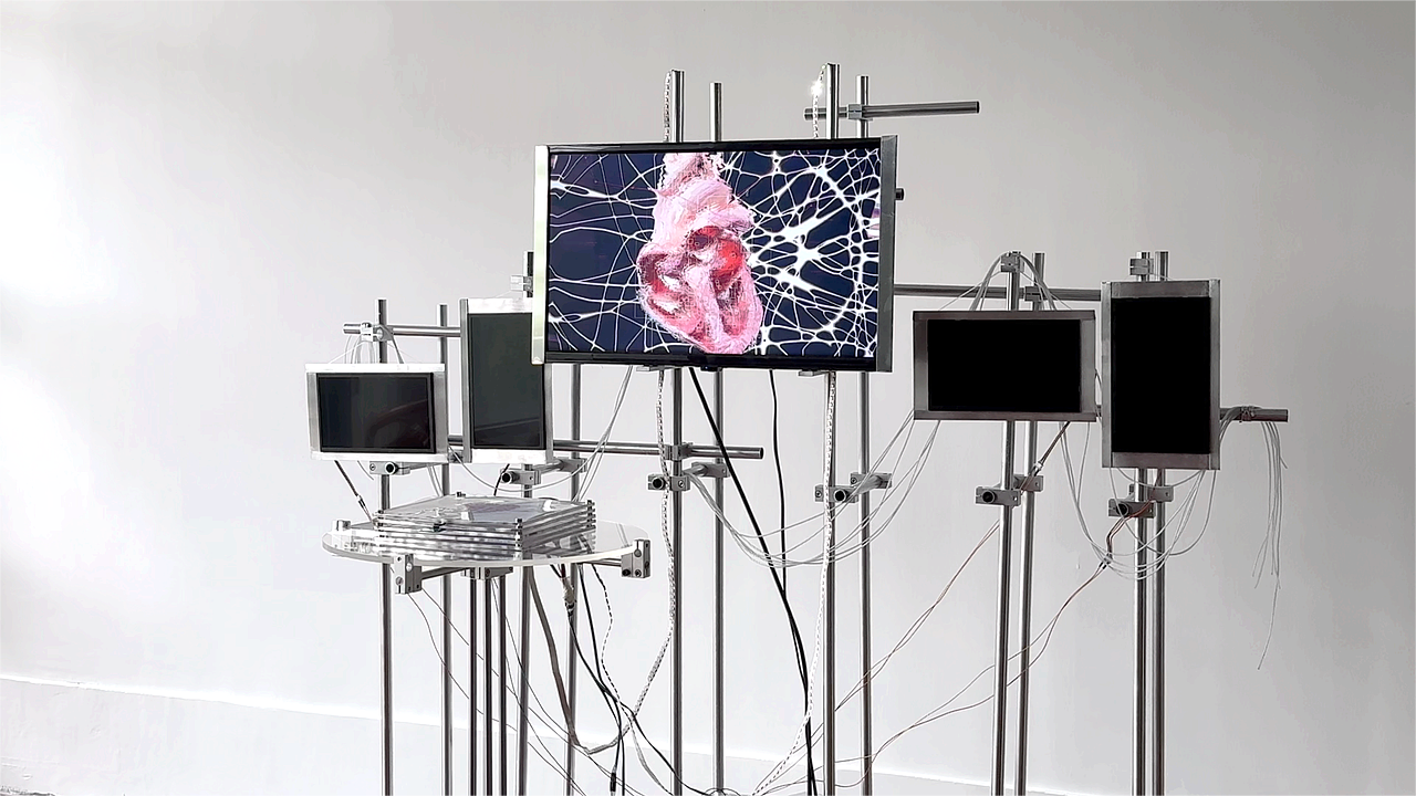 #2025青春答卷#+心脑共鸣 记录心跳描绘脑波