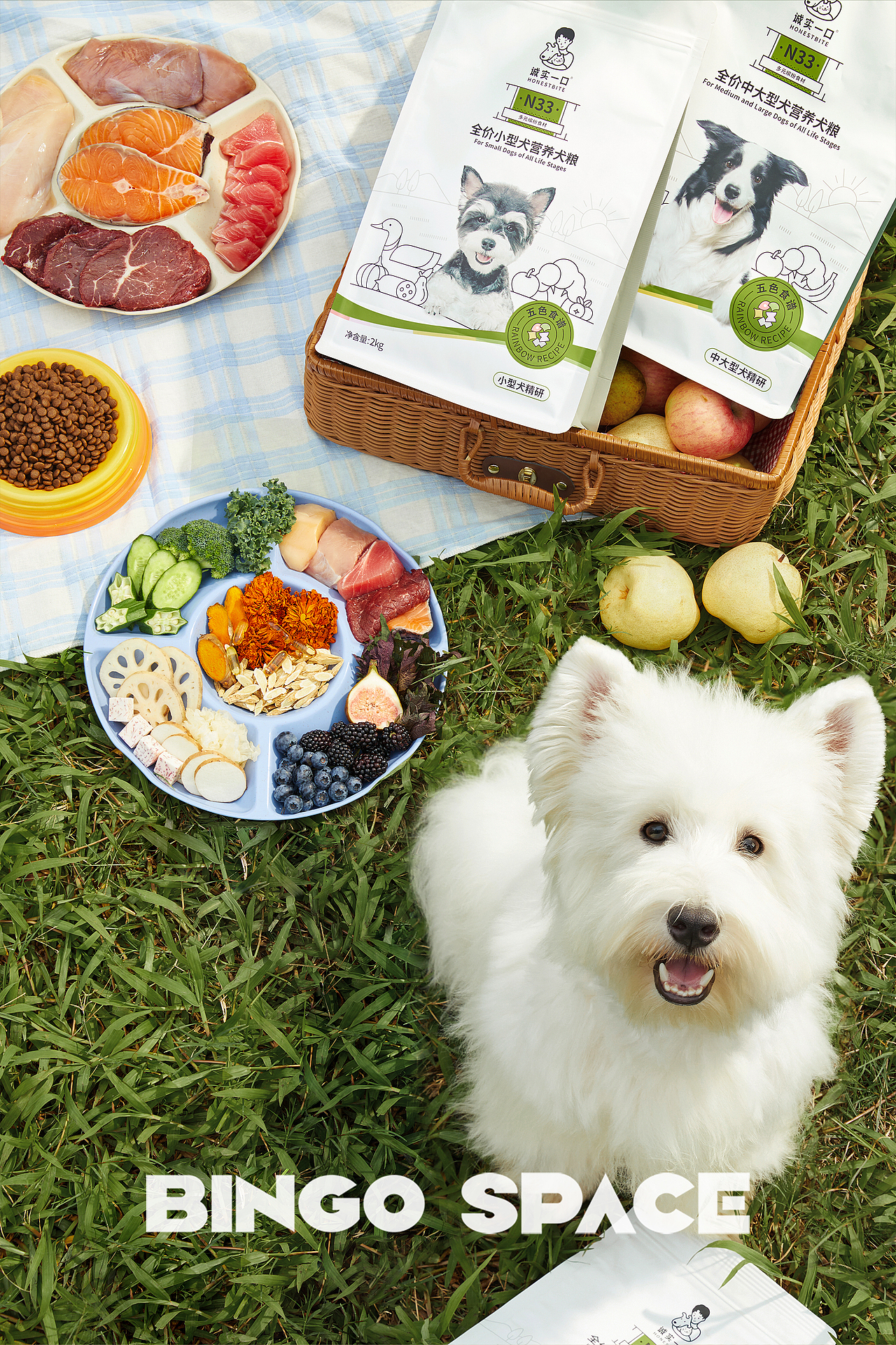 产品摄影|诚实一口狗粮✖️BingSpace