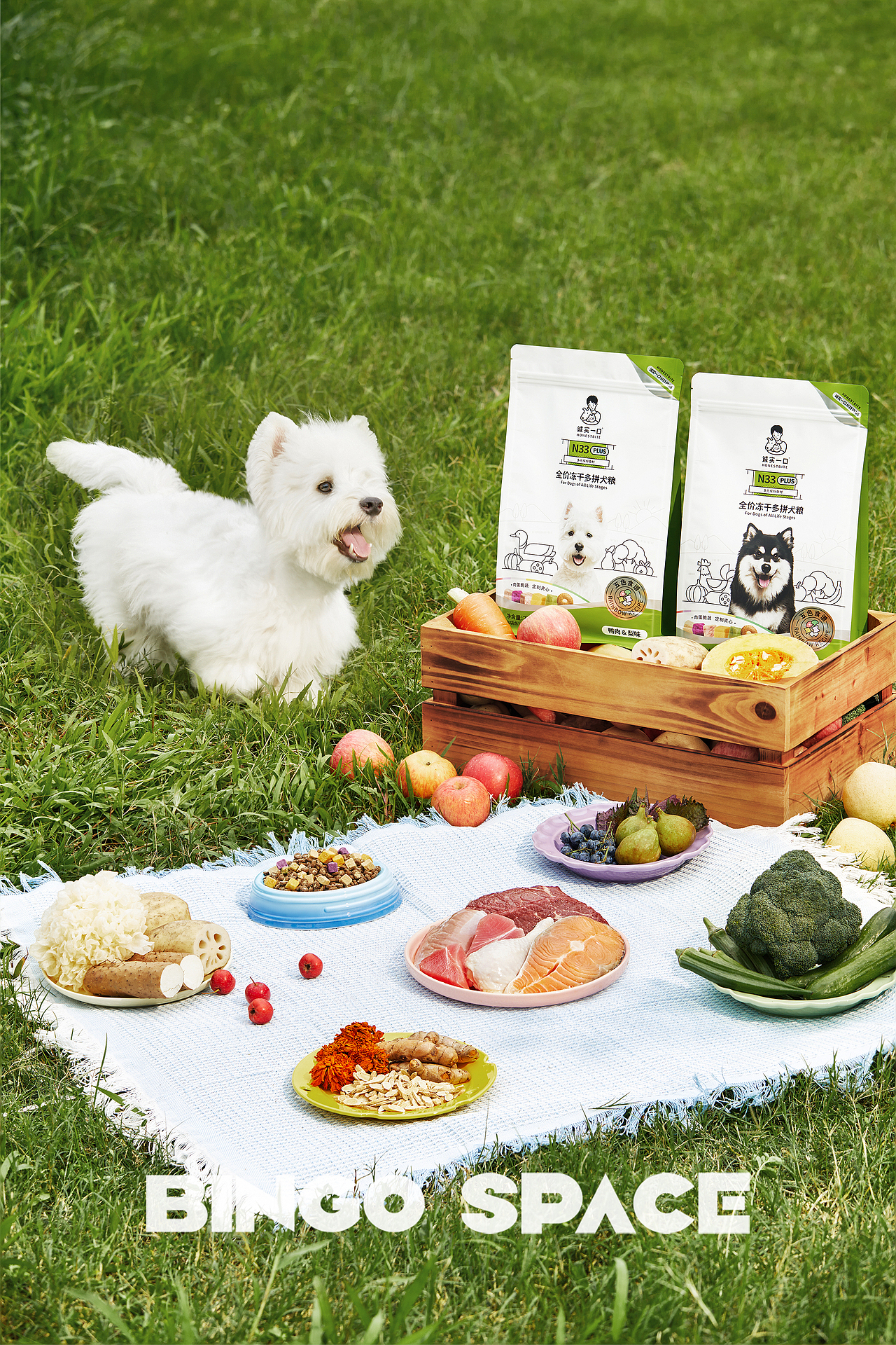 产品摄影|诚实一口狗粮✖️BingSpace