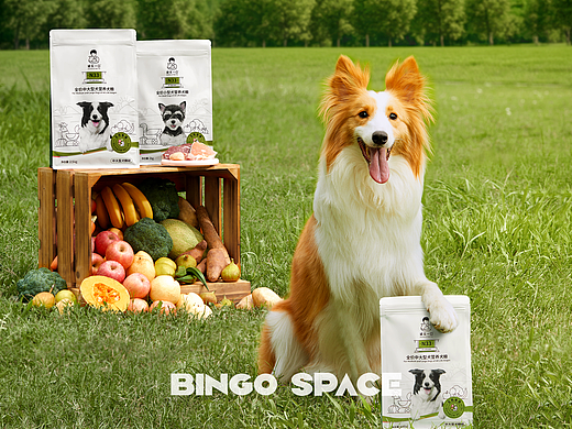 产品摄影｜诚实一口狗粮✖️BingSpace