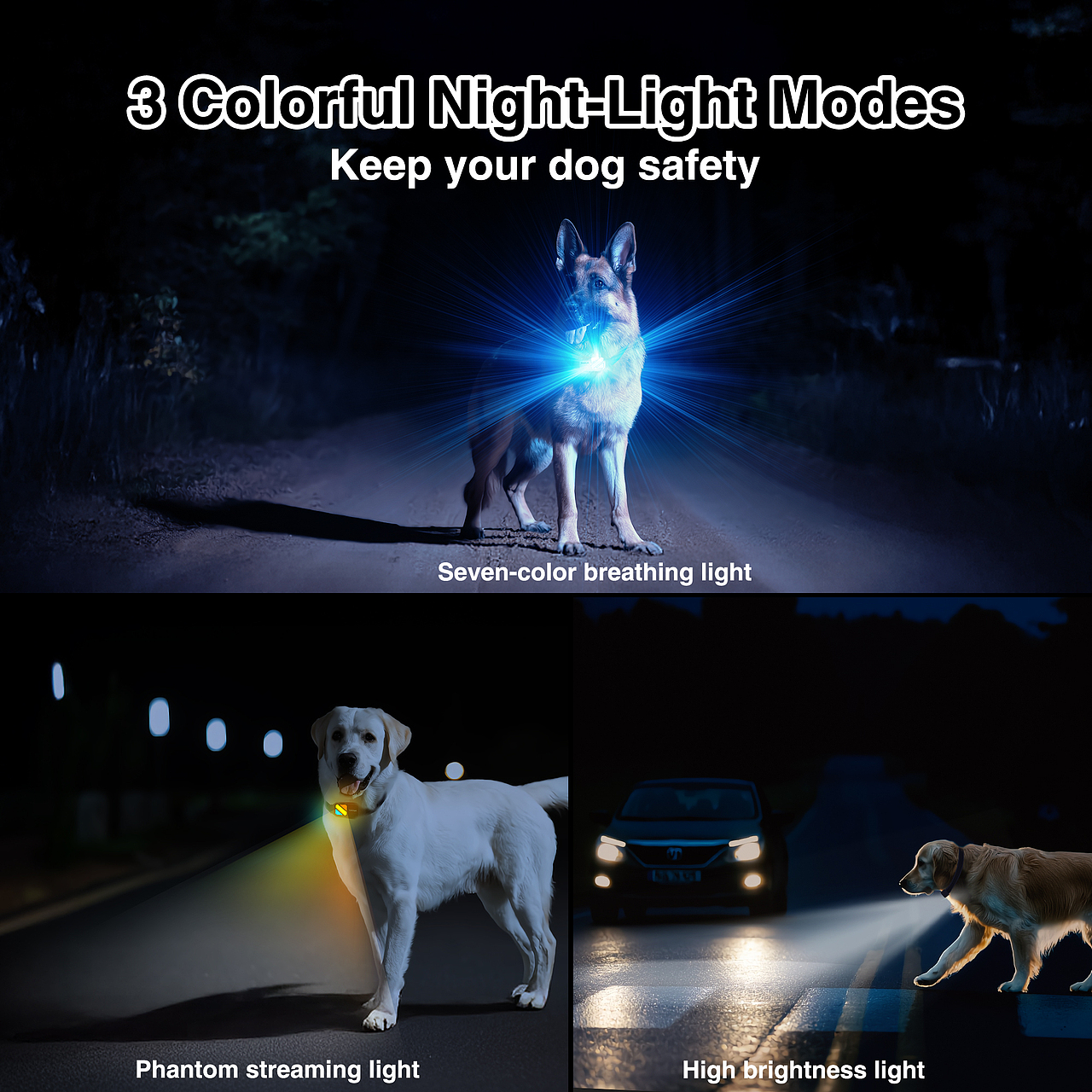 Amazon亚马逊设计丨 T223A 训狗器