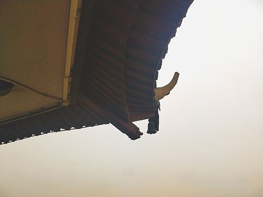 蚌埠张公山