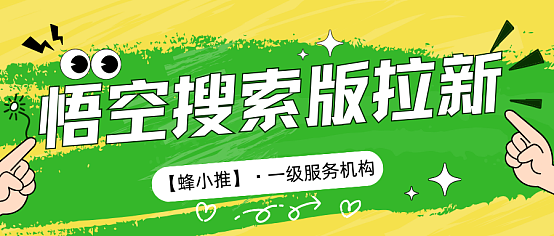 悟空搜索版推广策略,如何高效参与并降低风险