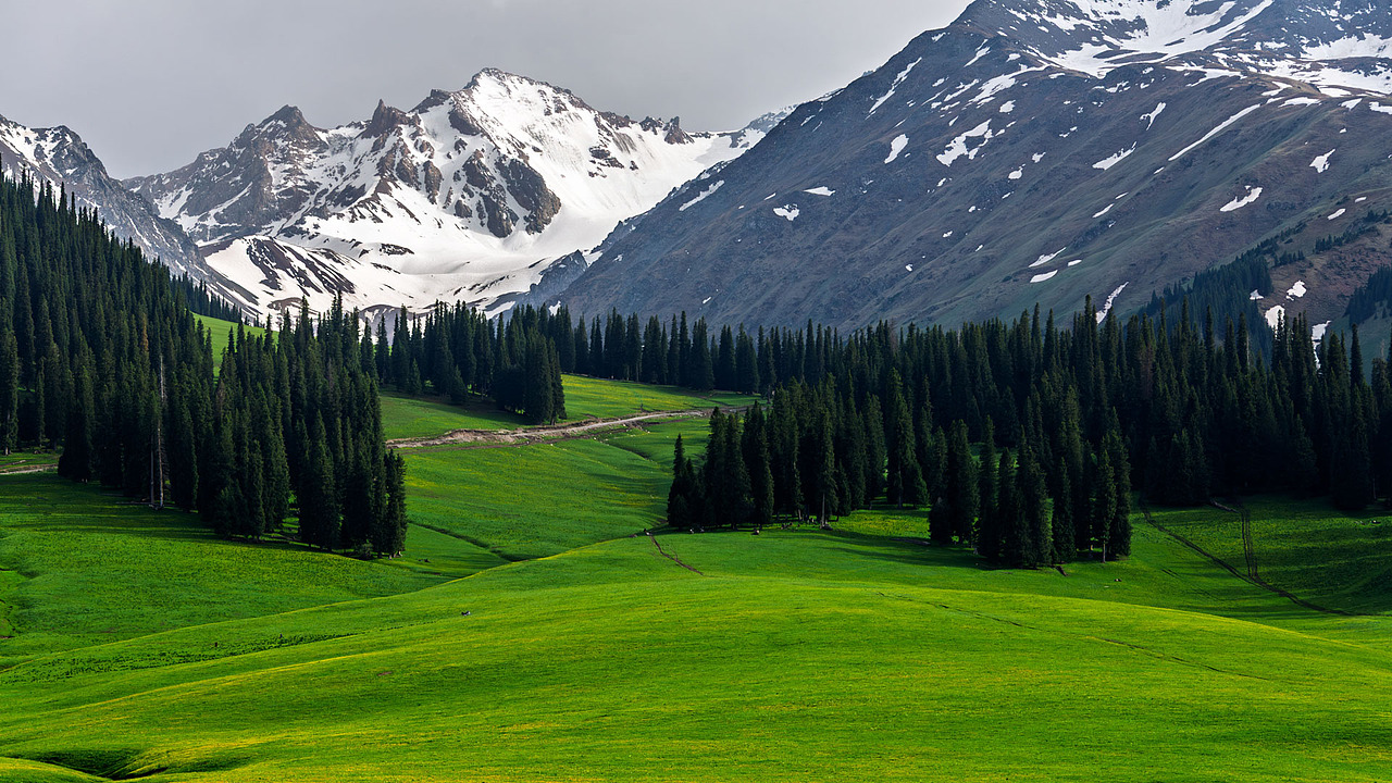 新疆伊犁那拉提空中草原初夏风光
