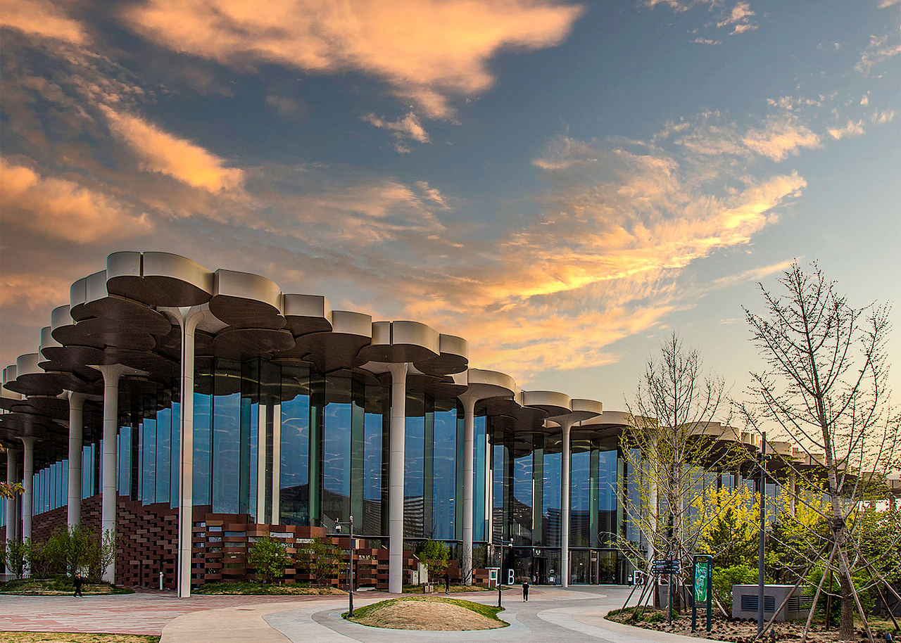 "赤印·银杏叶·森林"