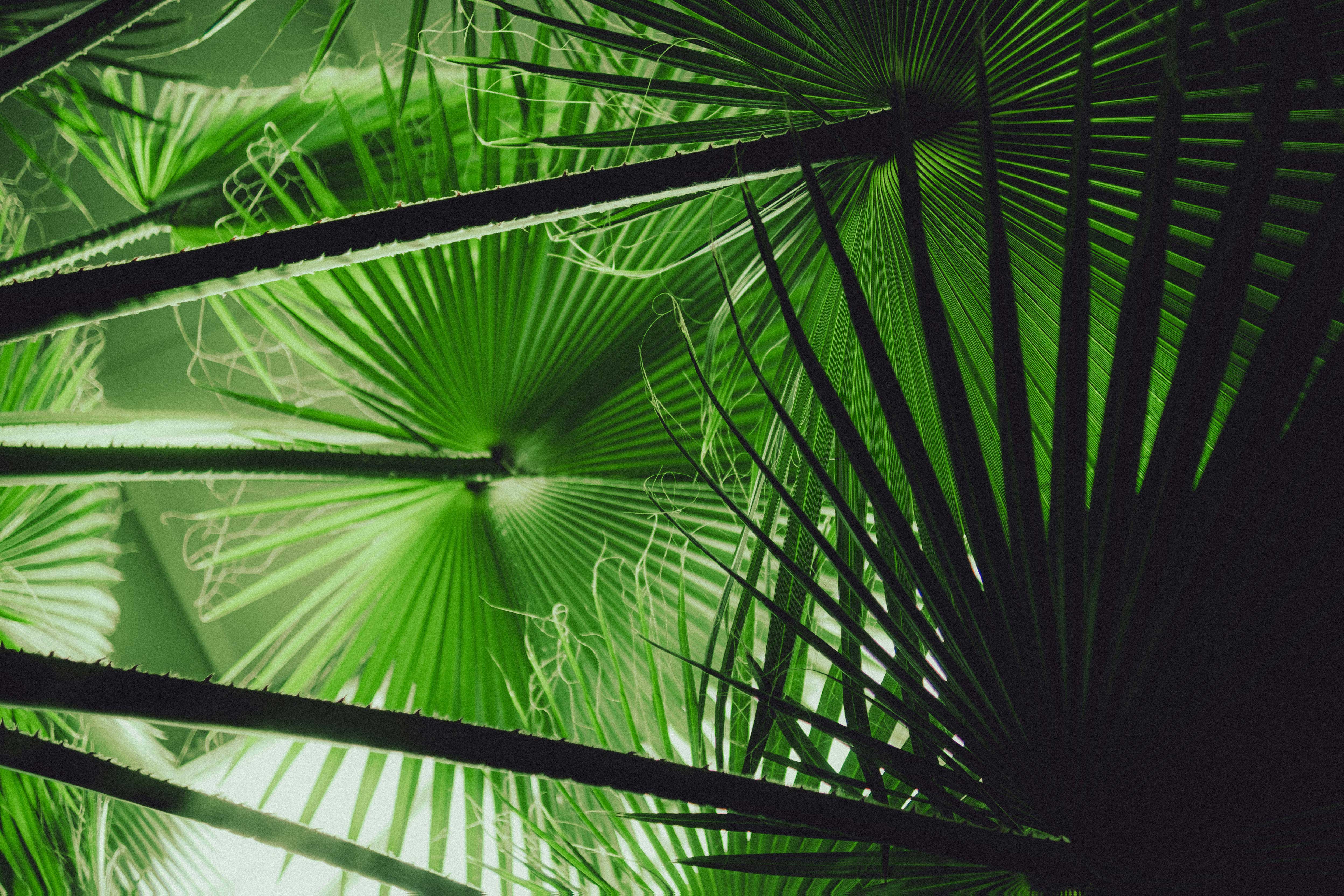 君君君呀的个人主页（封面预览） - 主页封面设置 - 站酷设计师君君君呀原创素材 - 站酷ZCOOL