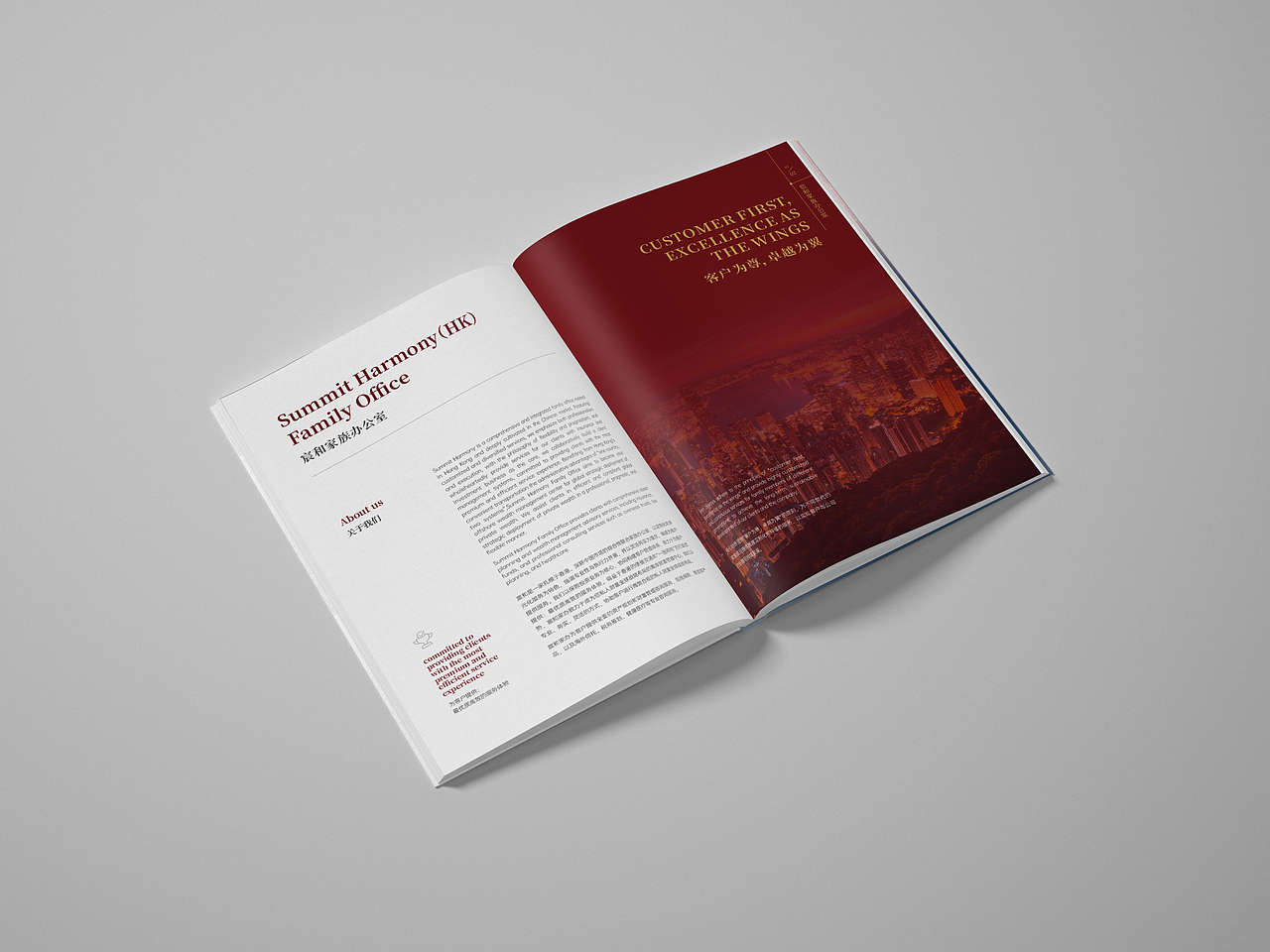 国际金融类画册设计（图ZMzkxNjgwNTEy） - 书籍/画册 - 站酷设计师WXL品牌视觉设计原创素材 - 站酷ZCOOL