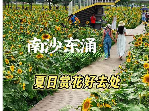 城市宣传片/景点宣传短视频