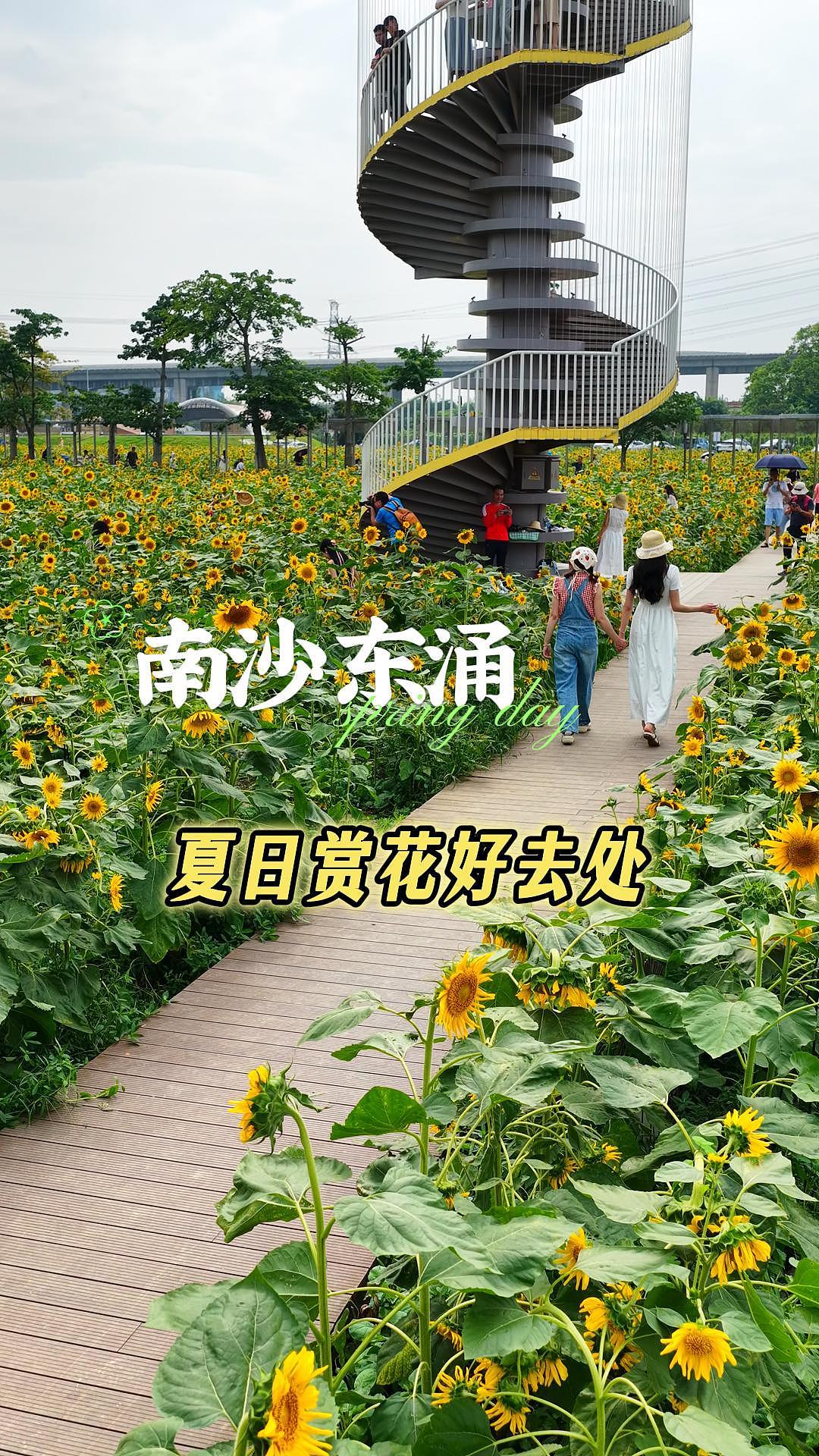 城市宣传片/景点宣传短视频