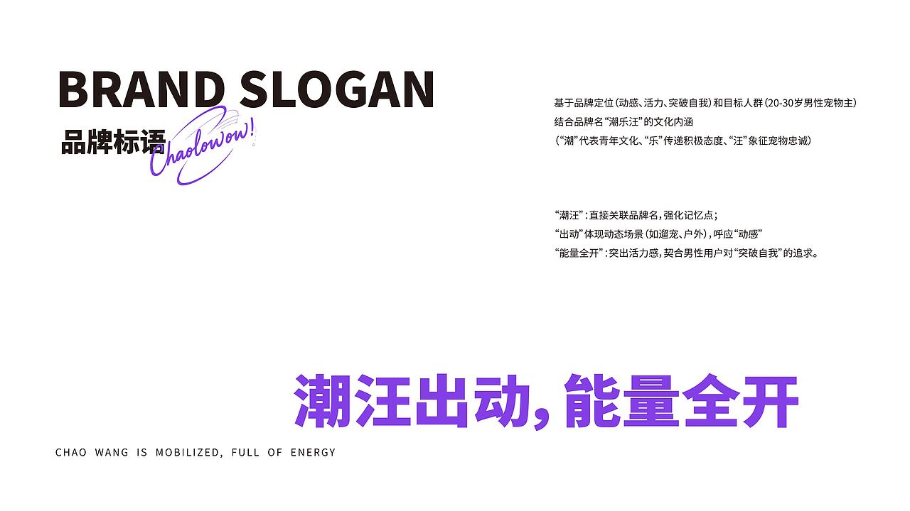 潮乐汪 | 潮汪出动，能量全开