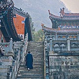 肖意行的头像