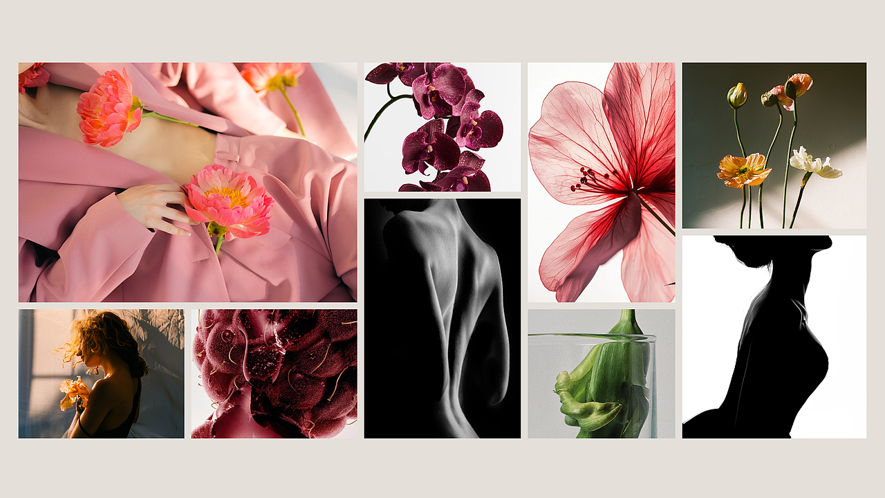 山野志品牌及包装设计