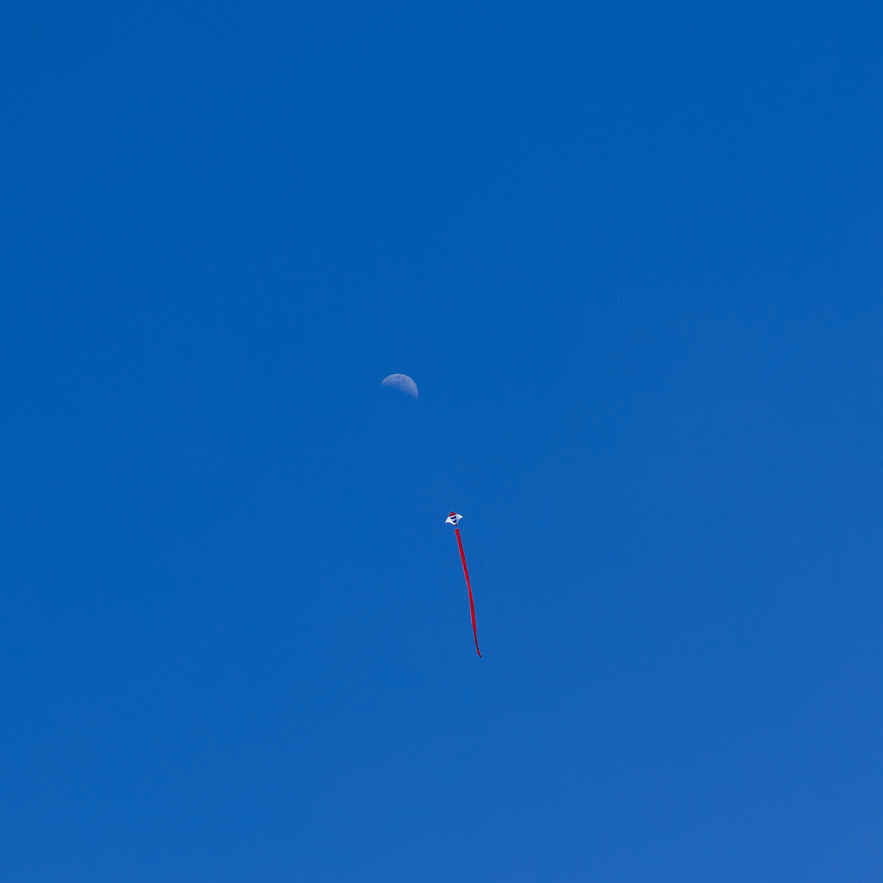 一头扎进了夏日