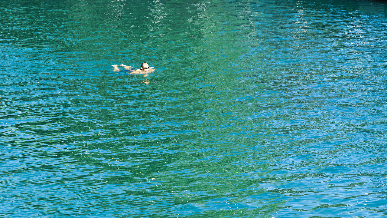一头扎进了夏日
