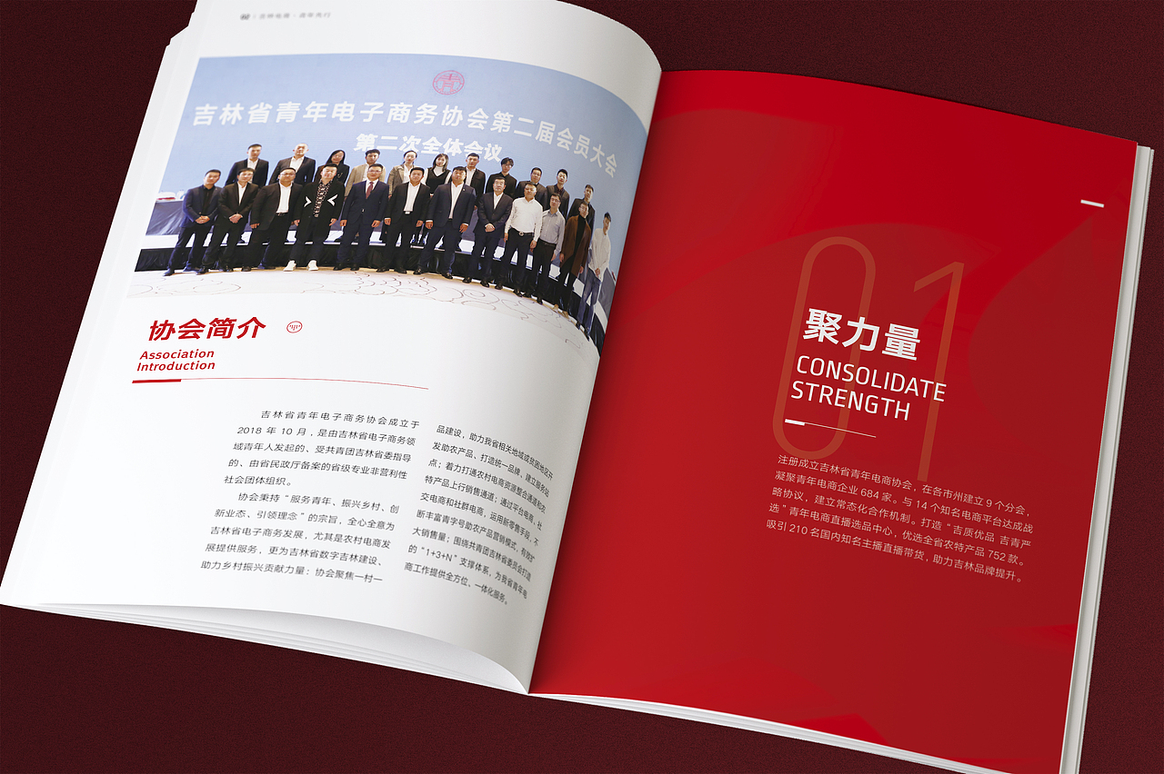 画册设计｜书籍设计｜宣传册设计｜版式设计
