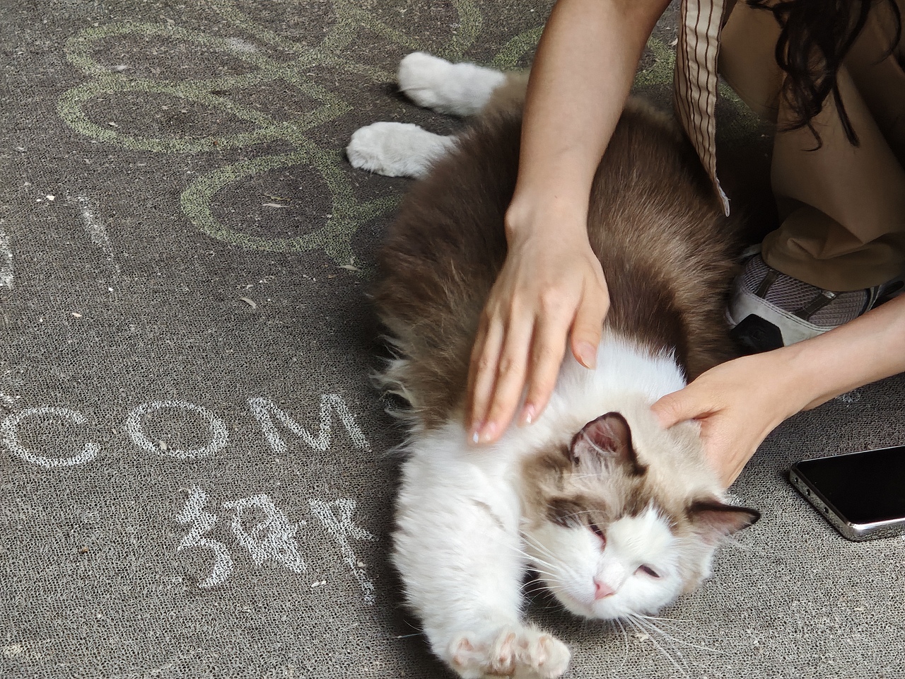 《秦岭》（图ZMzkxNzU3MzQ0） - 其他平面 - 站酷设计师Z63318727原创素材 - 站酷ZCOOL