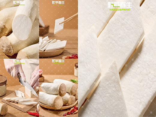 野草春生X杏鲍菇摄影