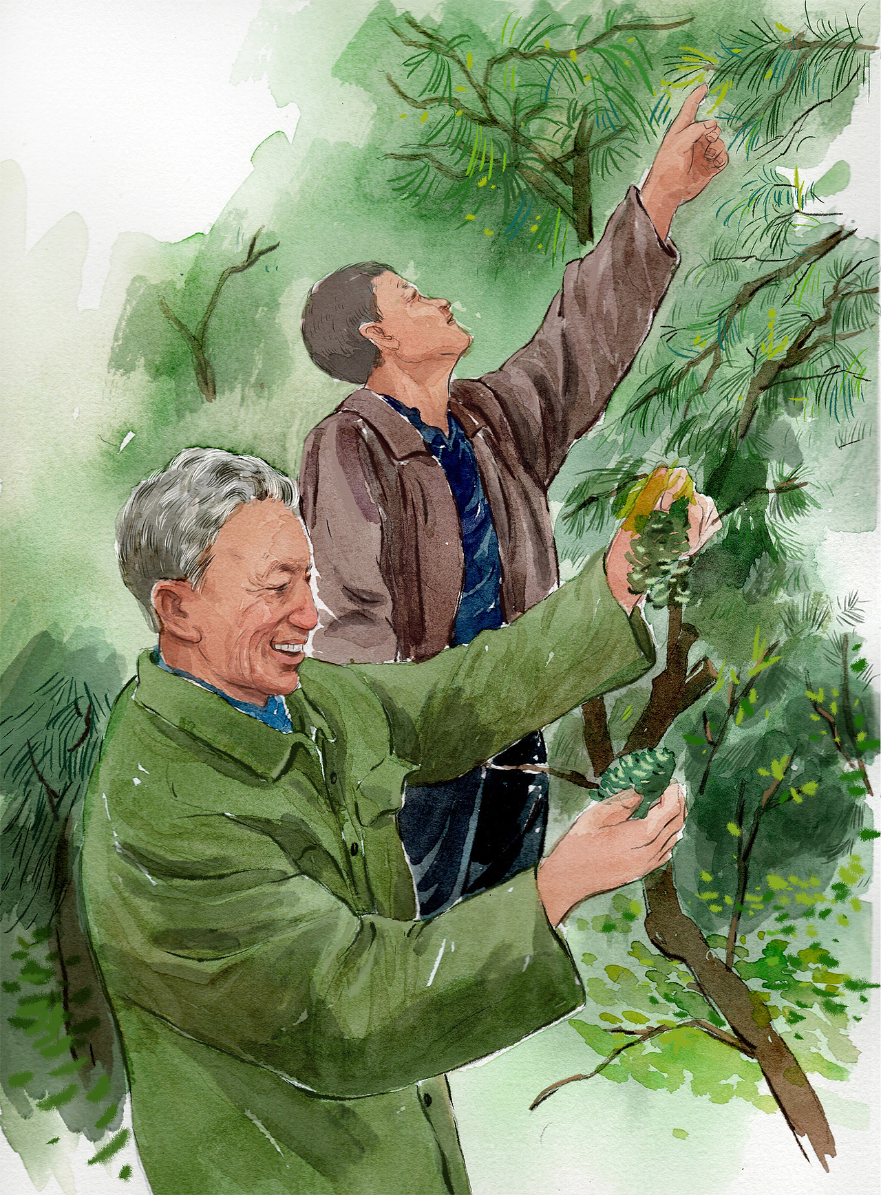 最美奋斗者系列（一）《把山“涂”绿的人-文朝荣》（图ZMzkxNzYxMTIw） - 绘本 - 站酷设计师赵小傻原创素材 - 站酷ZCOOL