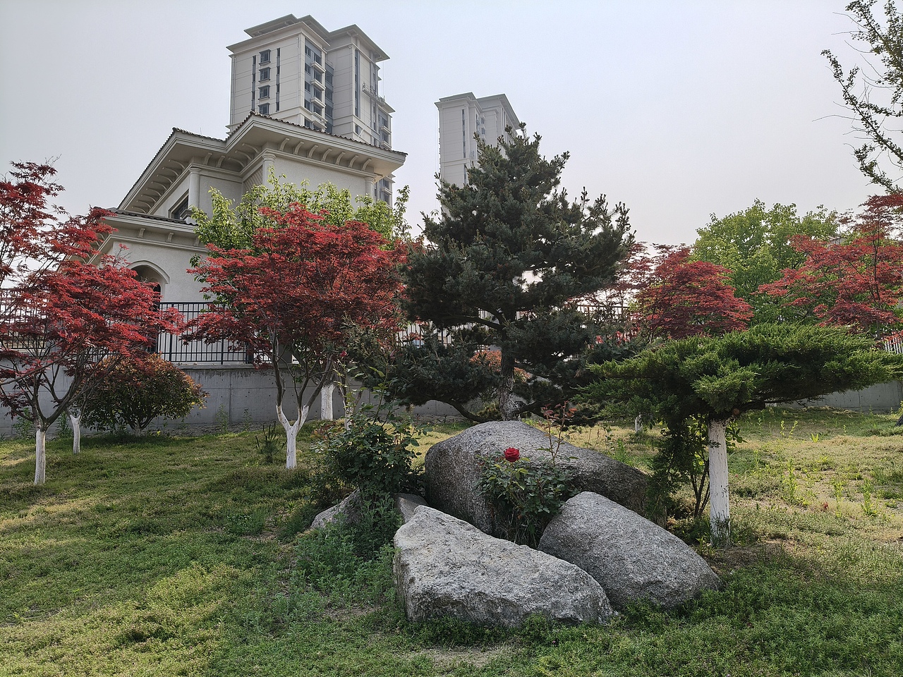 一片林中一朵花