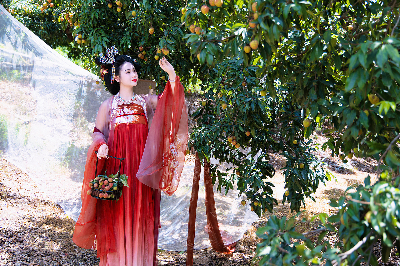 杨贵妃穿越到现代 来深圳采荔枝了🍒