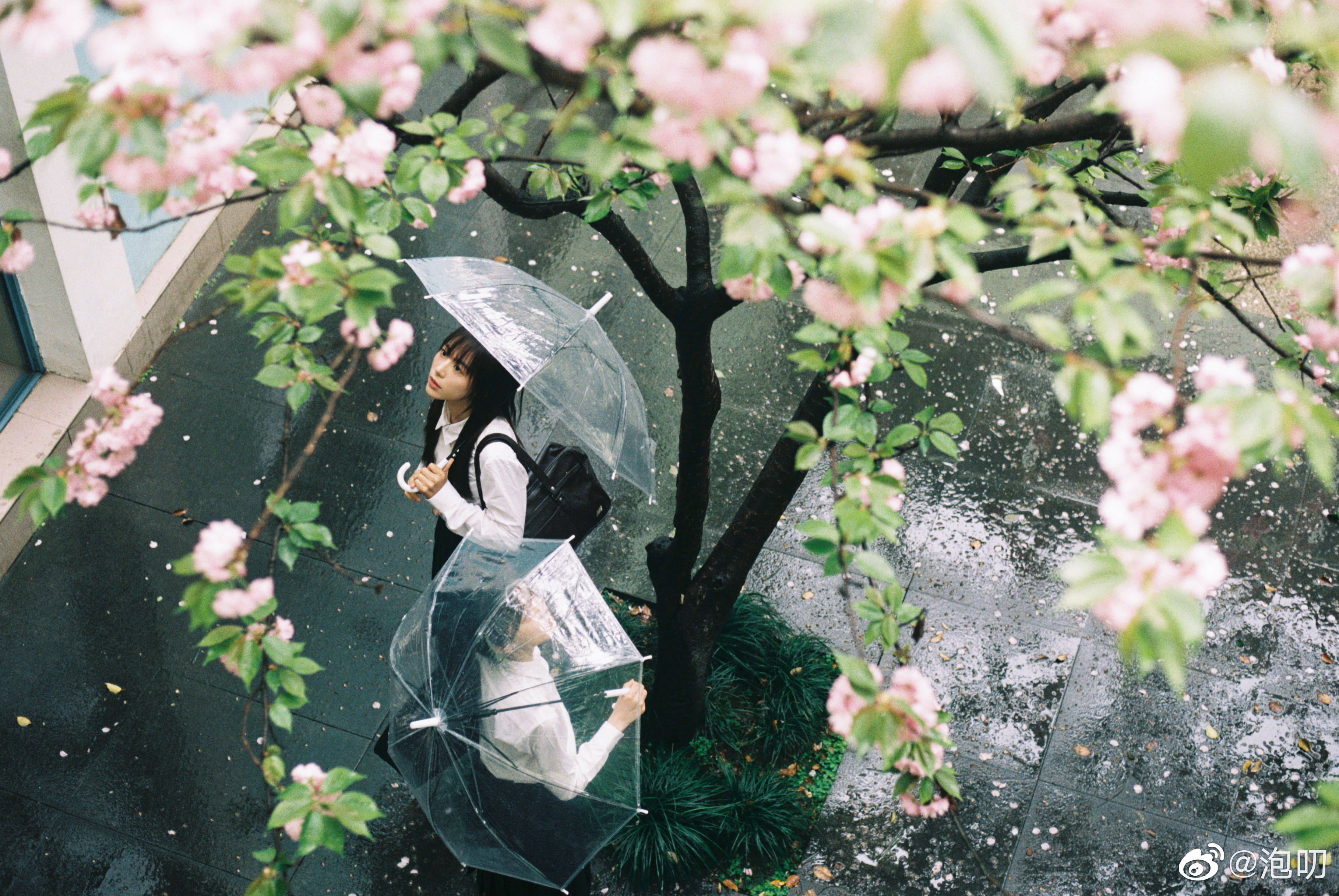 花享绒的个人主页（封面预览） - 主页封面设置 - 站酷设计师花享绒原创素材 - 站酷ZCOOL