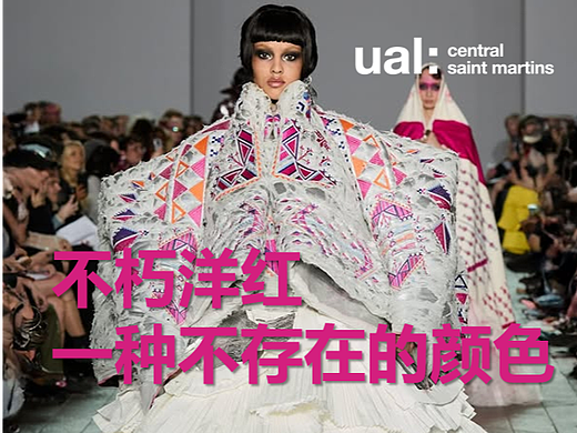 #2025青春答卷 不朽洋红:一种不存在的颜色 | Ayham