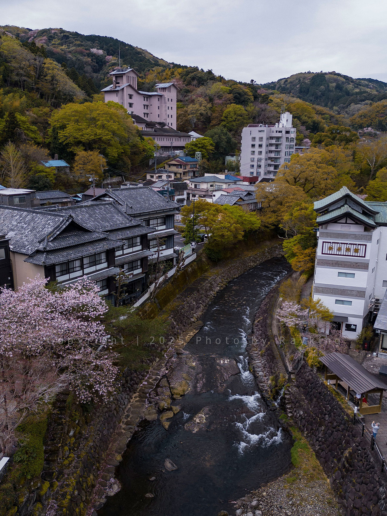 文学与花之路｜漫步修善寺