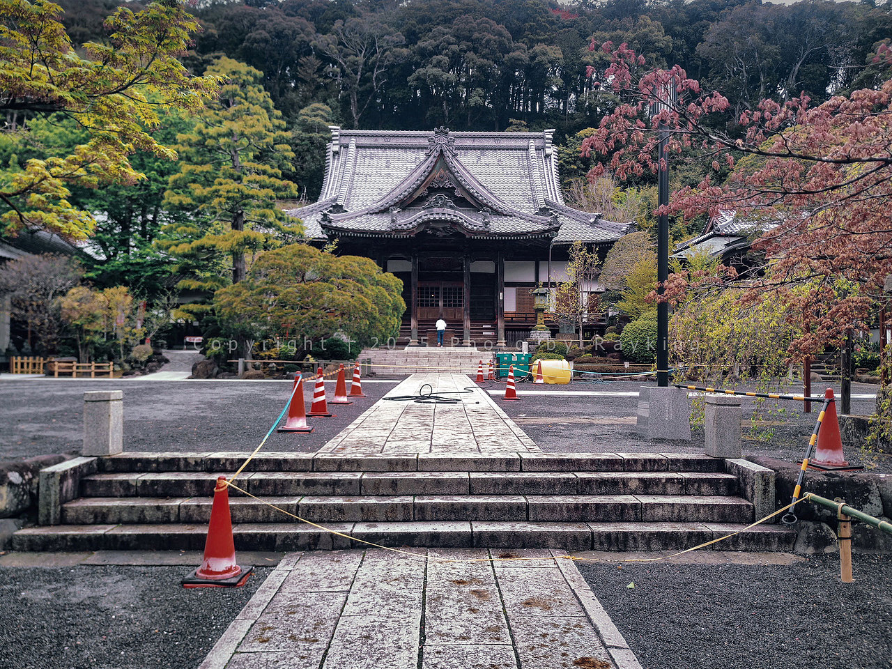 文学与花之路｜漫步修善寺