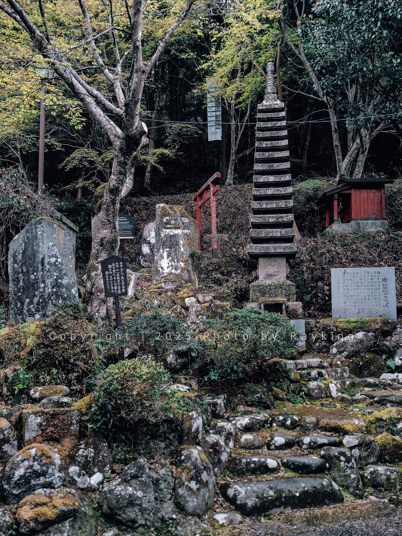 文学与花之路｜漫步修善寺