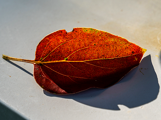 光的故事（個人主頁-ZNzIwNTA4MzI=） - 其他攝影 - 站酷設計師阿樂哥原創(chuàng)素材 - 站酷ZCOOL