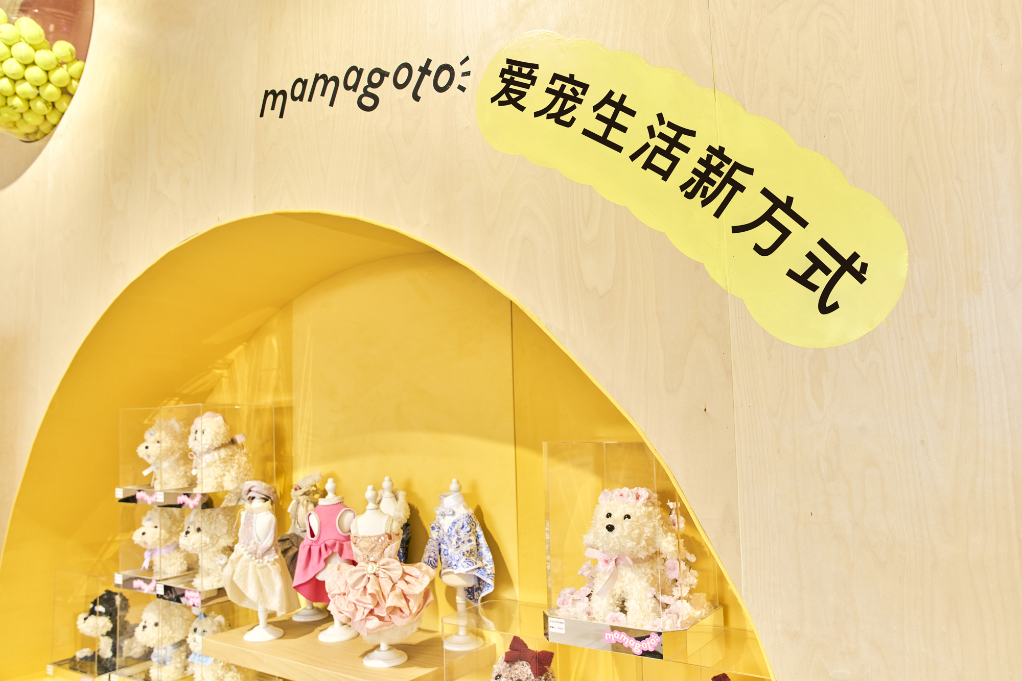 毛孩子的日常,值得被用心对待-Mamagoto宠物品牌及包装设计|365天的好设计NO.98