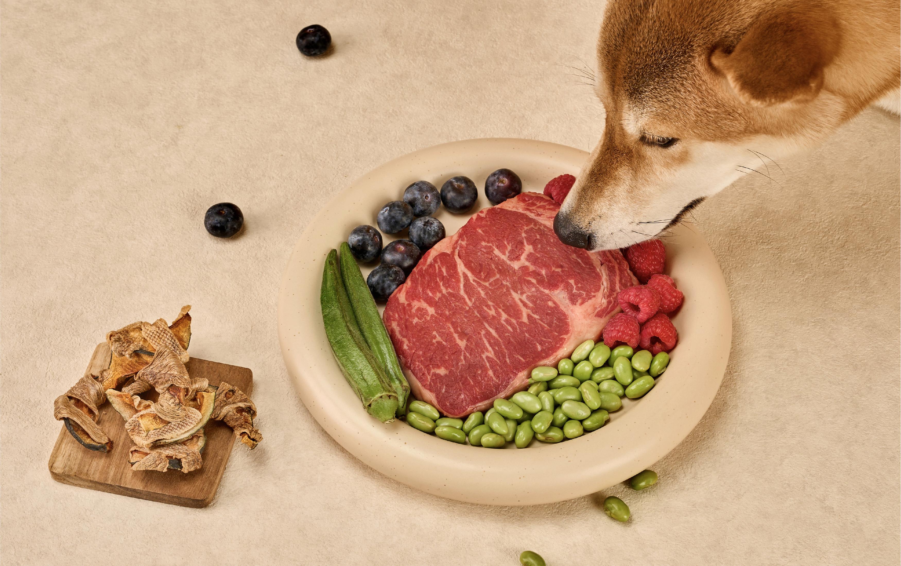 毛孩子的日常,值得被用心对待-Mamagoto宠物品牌及包装设计|365天的好设计NO.98