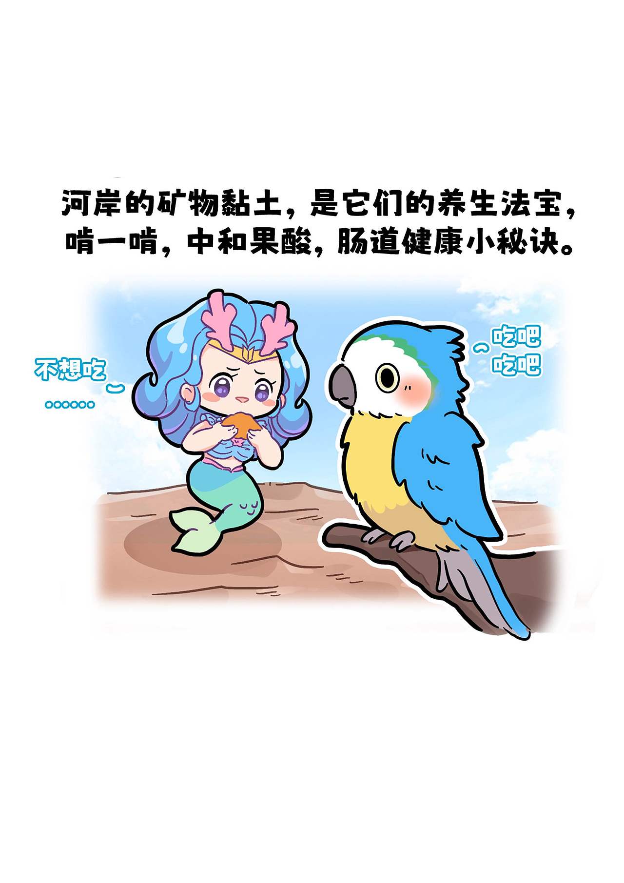 雨林就是金刚鹦鹉的快乐老家！