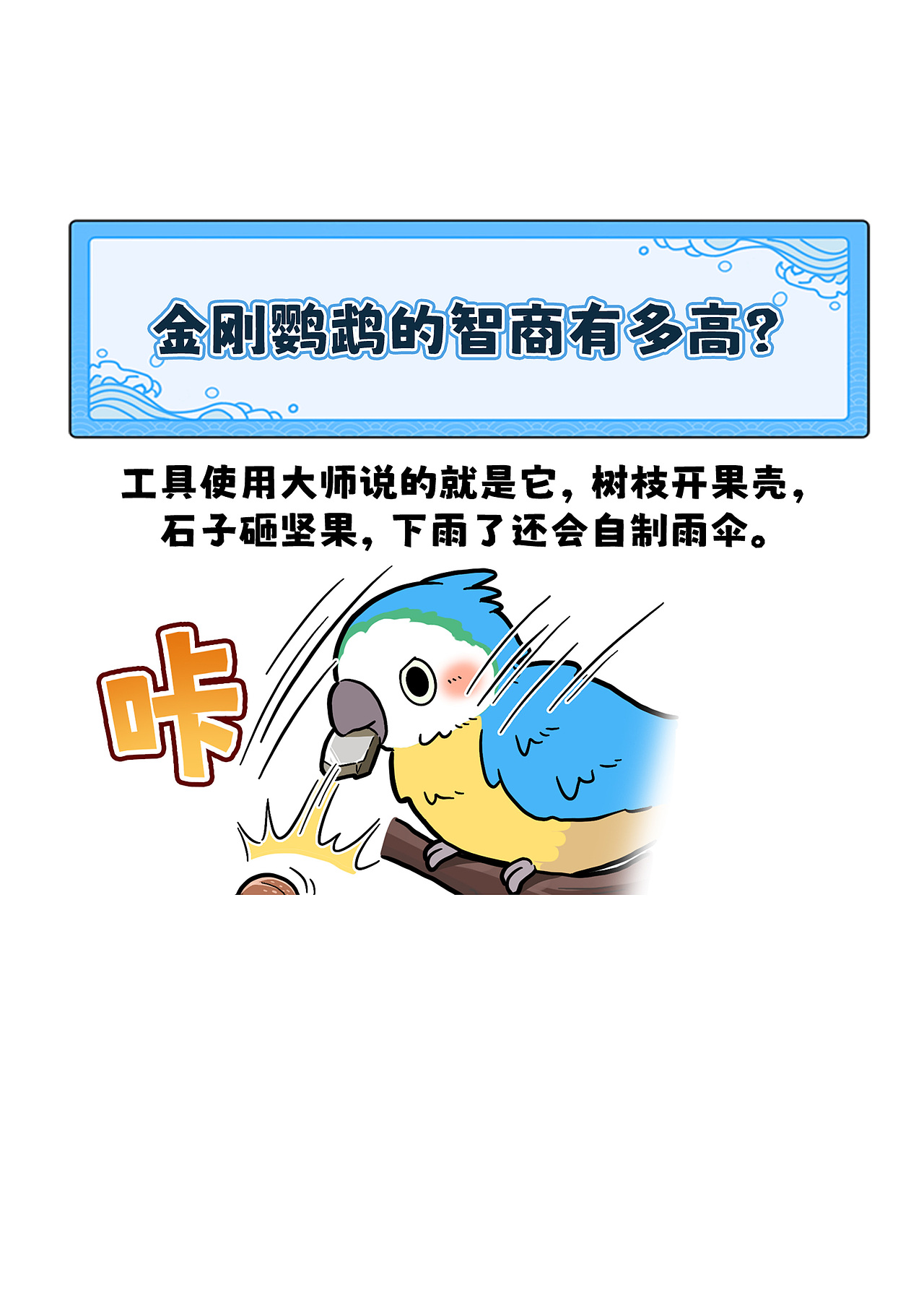 金刚鹦鹉的智商有多高?