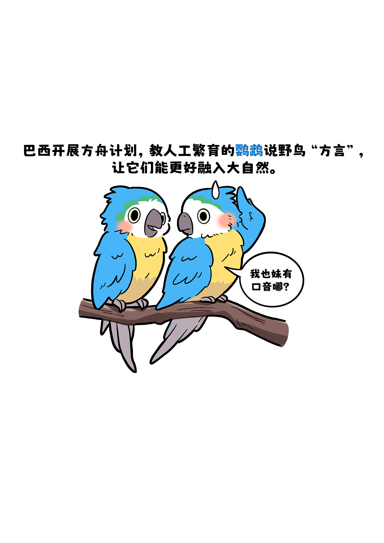 守护金刚鹦鹉,一起行动!