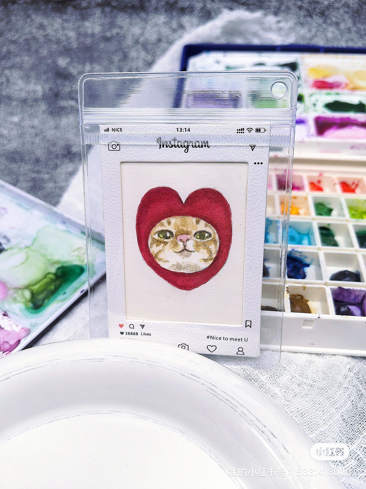 喵喵喵，猫来啦