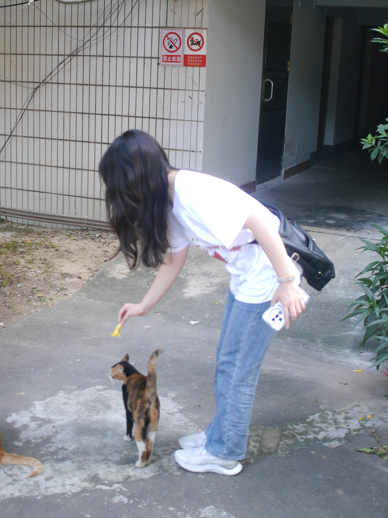 邂逅阳光，自由向上的生命力（图ZMzkxOTE0ODMy） - 人像摄影 - 站酷设计师工业设计cc原创素材 - 站酷ZCOOL