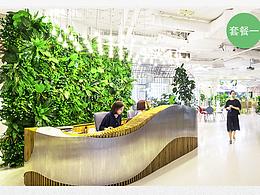 绿植小程序页面+专题【2020年】