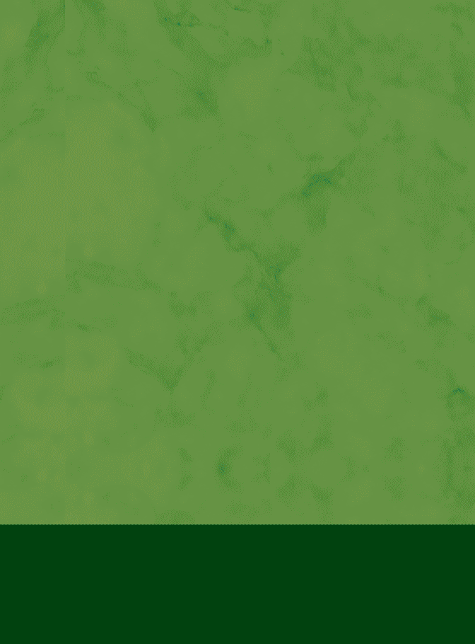 一格×宏明擂枣｜撕掉行业不健康标签，以食养逆袭出圈（图ZMzkxOTM0NDUy） - 包装 - 站酷设计师一格品牌策划原创素材 - 站酷ZCOOL