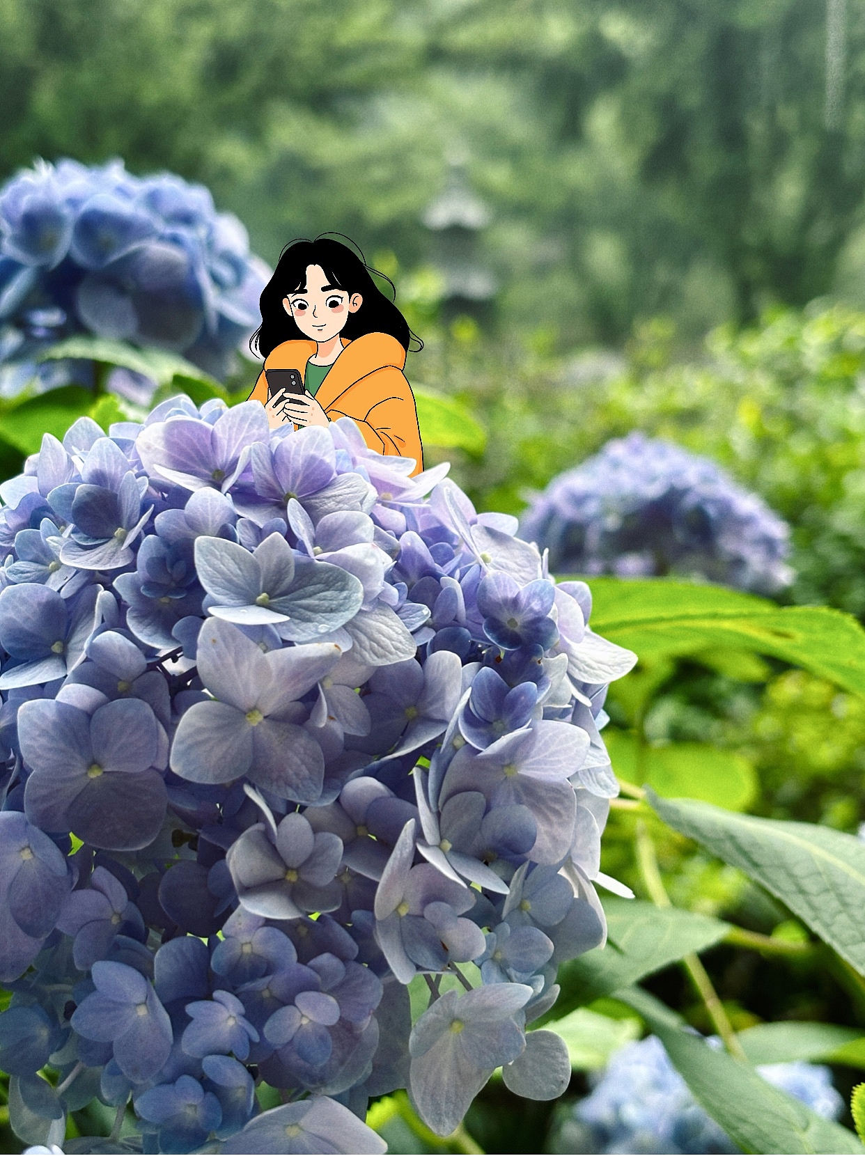 国清寺｜雨落古刹，想留在这抹清幽里