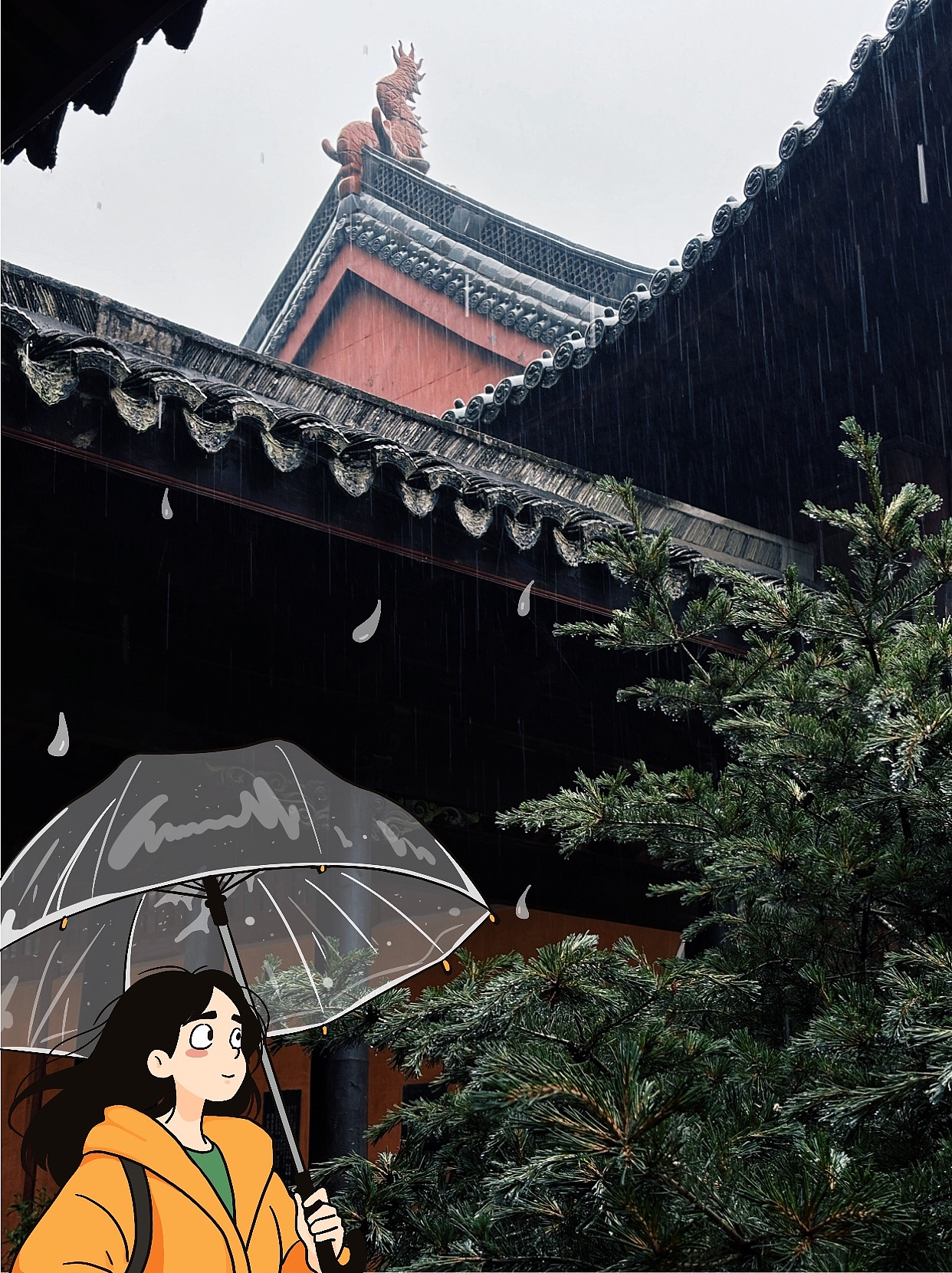 国清寺｜雨落古刹，想留在这抹清幽里