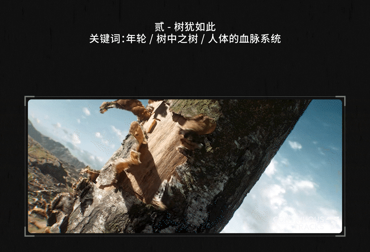 项目回顾 | 中国美术学院「2024第六届青艺周」开幕片