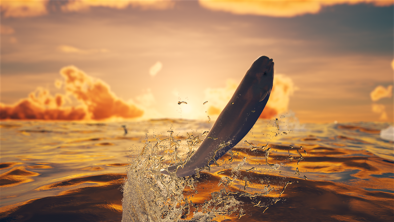 小梅沙海洋世界系列宣传视频片头