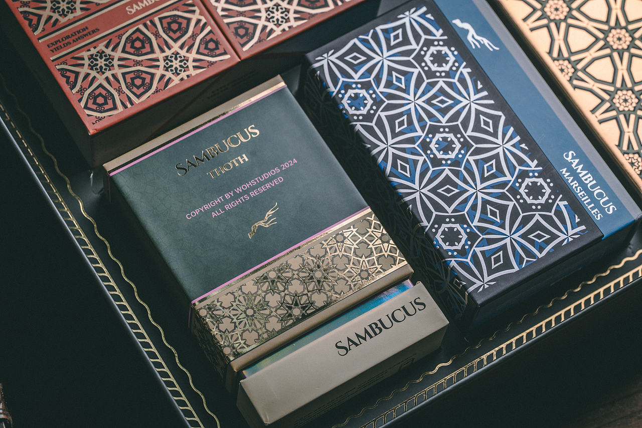 接骨木Ⅱ 塔罗牌/利诺曼 共生树礼盒 平面设计