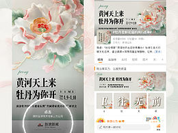 2025屆菏澤國際牡丹文化旅游節(jié)海報設(shè)計分享