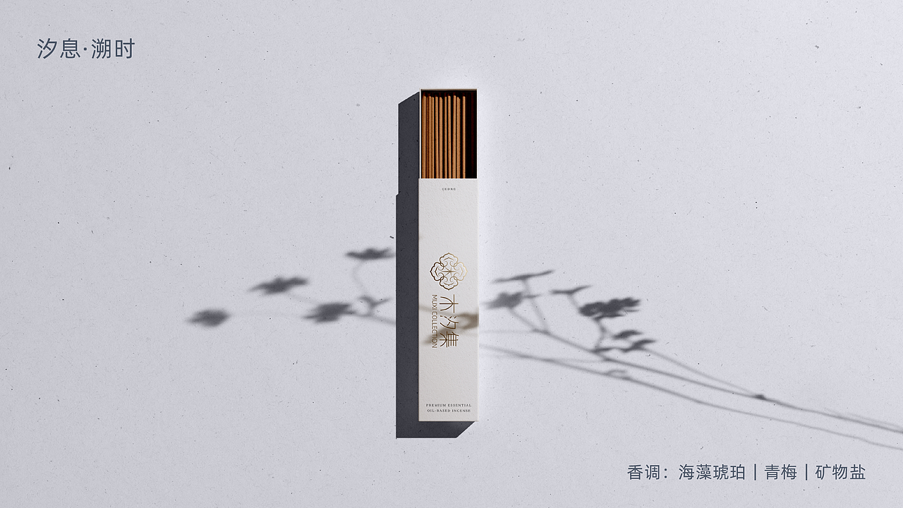 木生万象,汐润心间